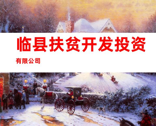 临县扶贫开发投资有限公司