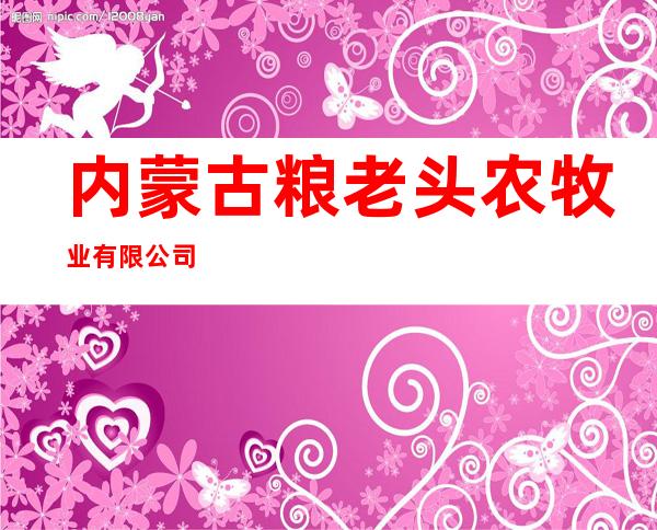 内蒙古粮老头农牧业有限公司