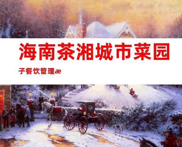 海南茶湘城市菜园子餐饮管理有限公司